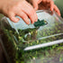 2 - Pack EZ Microgreens Planter - Team Grow