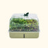 2 - Pack EZ Microgreens Planter - Team Grow