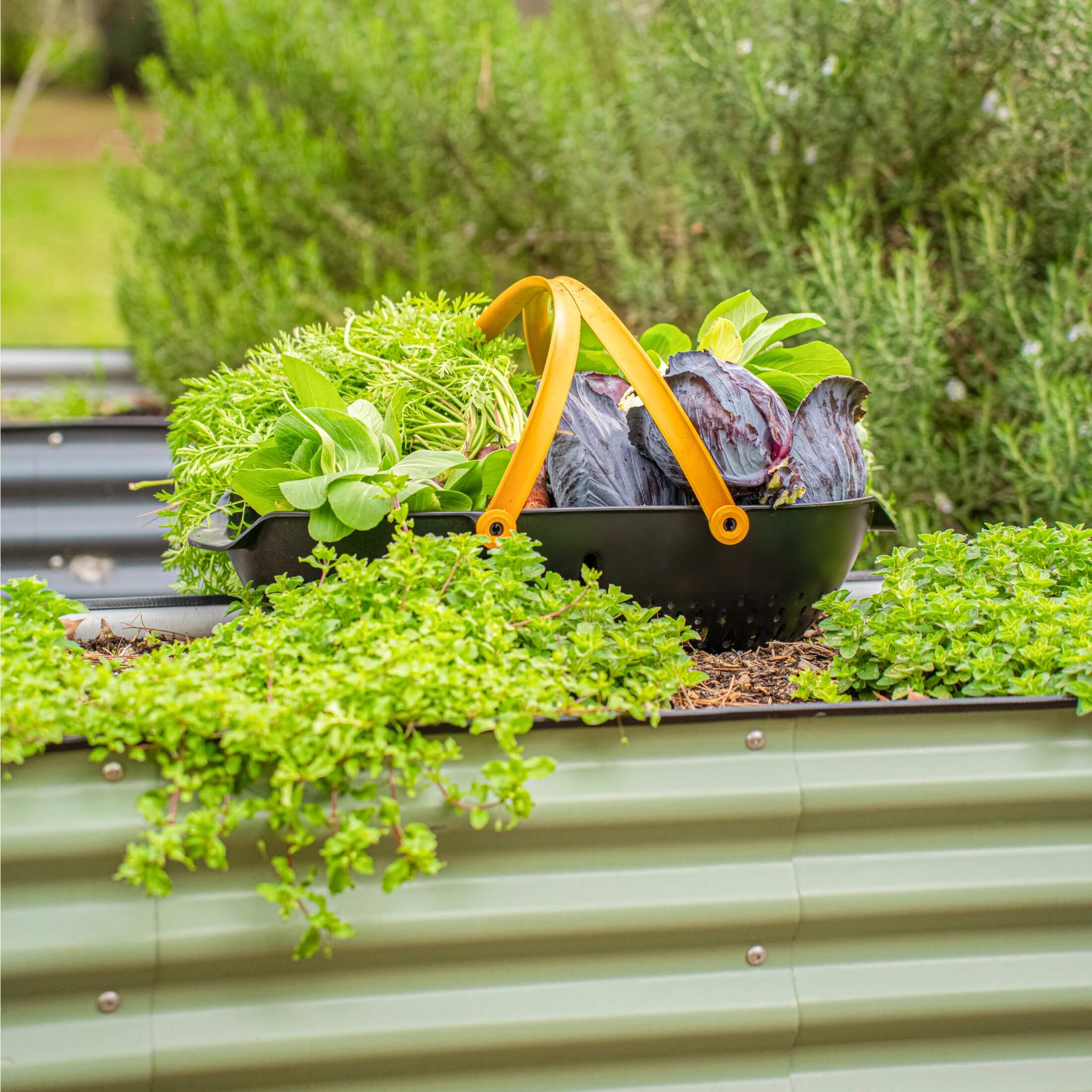 26" Tall 10 In 1 Jumbo Modular Metal Raised Garden Bed Kit - Team Grow