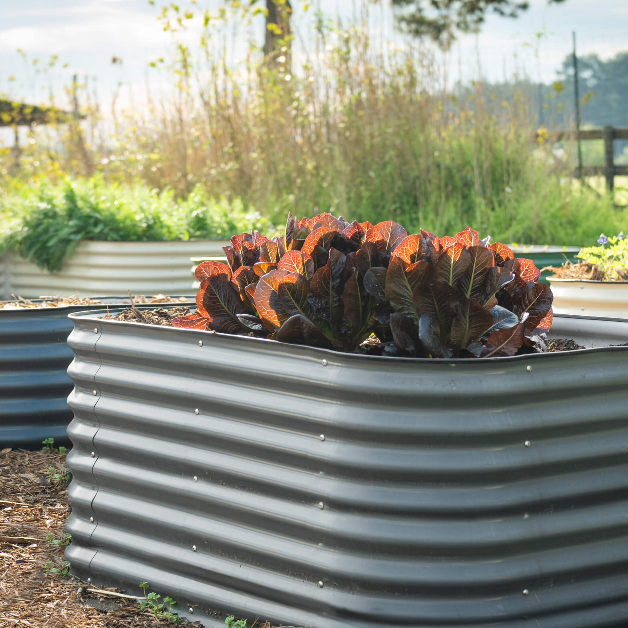 26" Tall 6 In 1 Medium Modular Metal Raised Garden Bed Kit - Team Grow