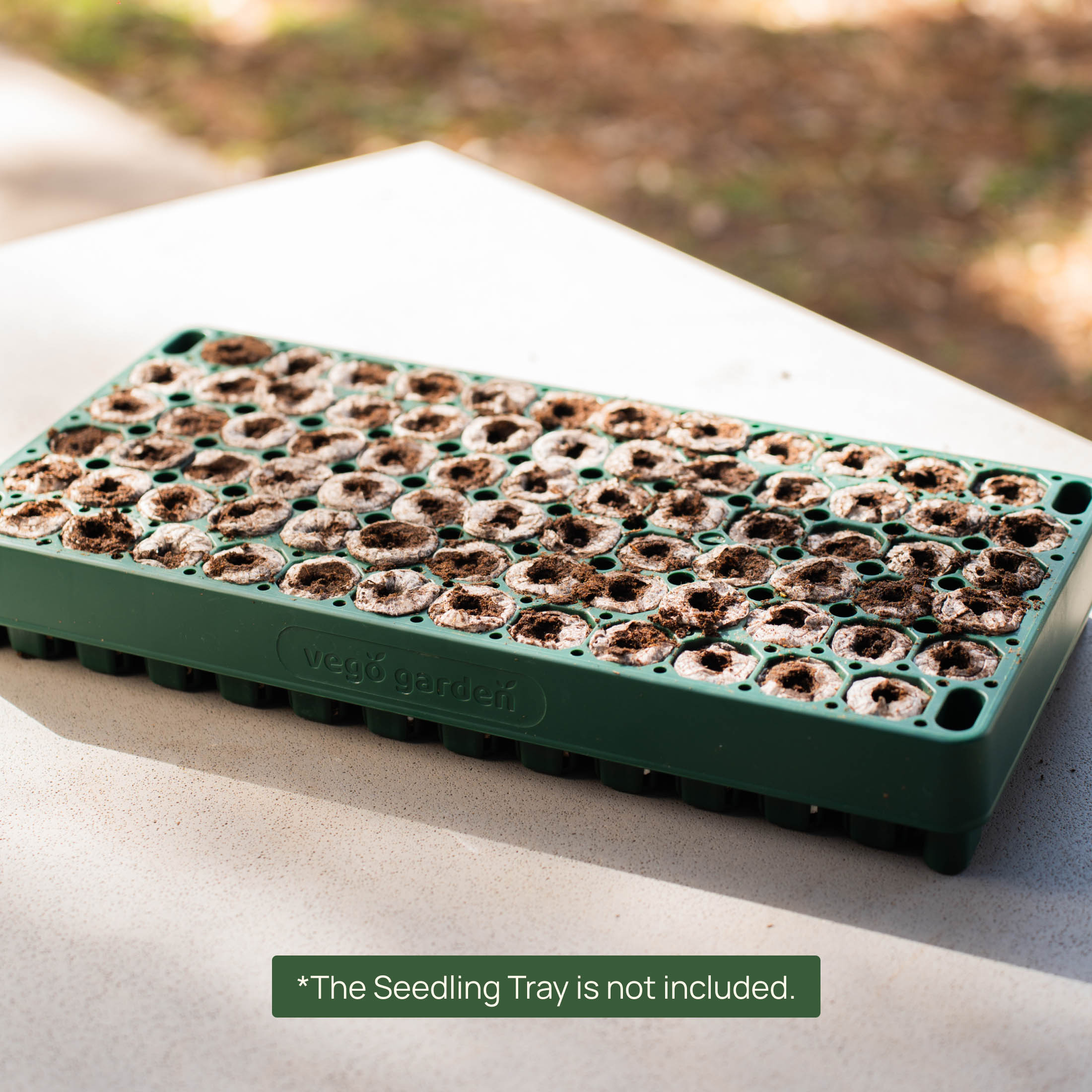 seed planting board Vego Garden 3-In-1 Plant 'n' Pop Board