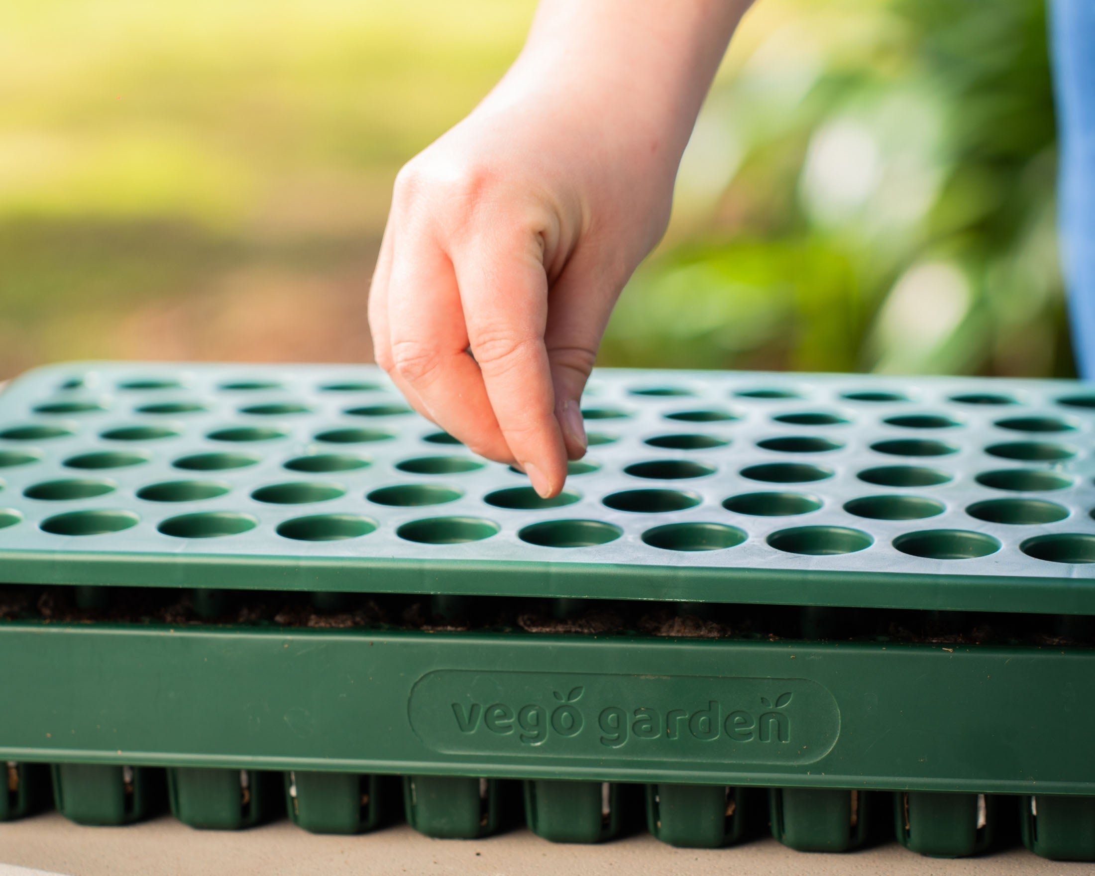 seed planting board Vego Garden 3-In-1 Plant 'n' Pop Board
