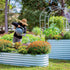 32" Extra Tall 4 In 1 Small Modular Metal Raised Garden Bed Kit - Team Grow
