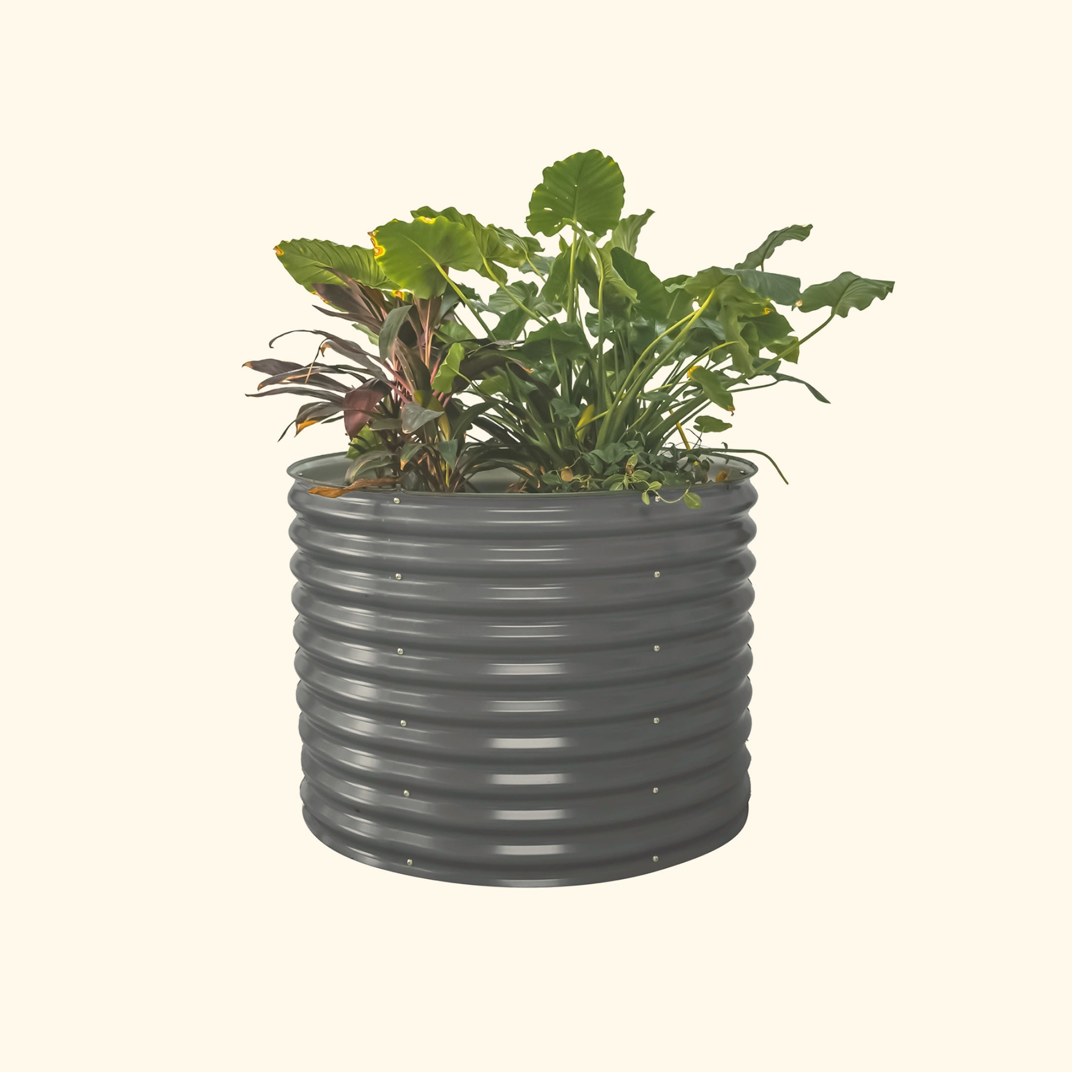 32" Extra Tall 42" Wide Round Metal Raised Garden Bed Kit - Team Grow