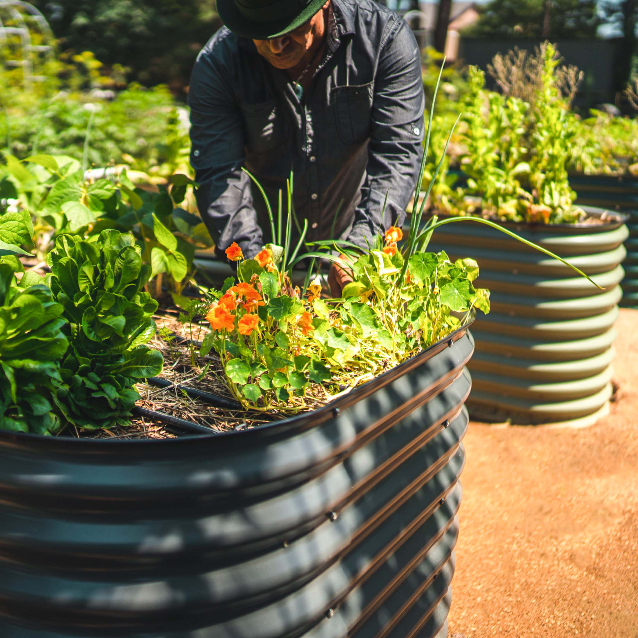 32" Extra Tall 6 In 1 Medium Modular Metal Raised Garden Bed Kit - Team Grow