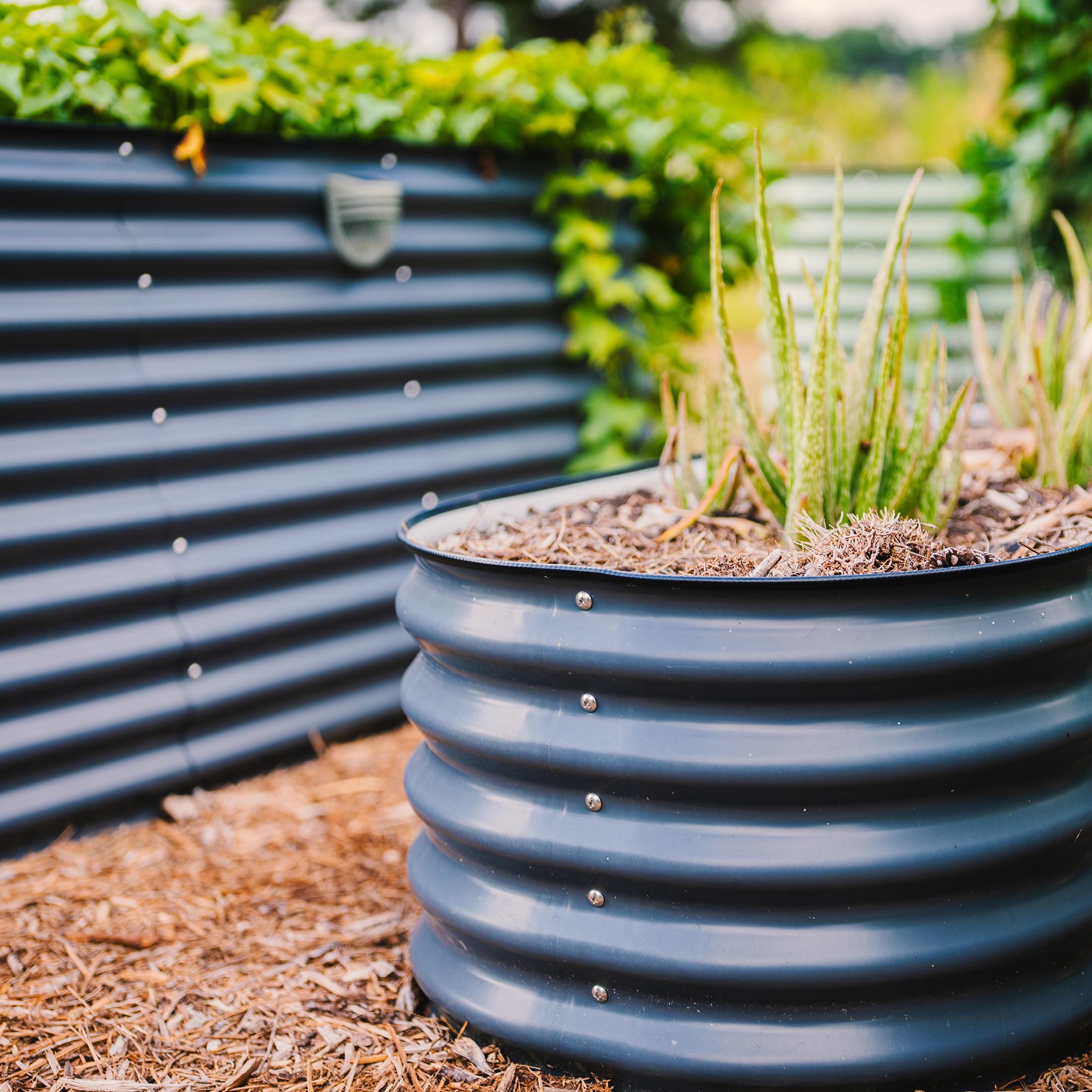 32" Extra Tall 6 In 1 Medium Modular Metal Raised Garden Bed Kit - Team Grow