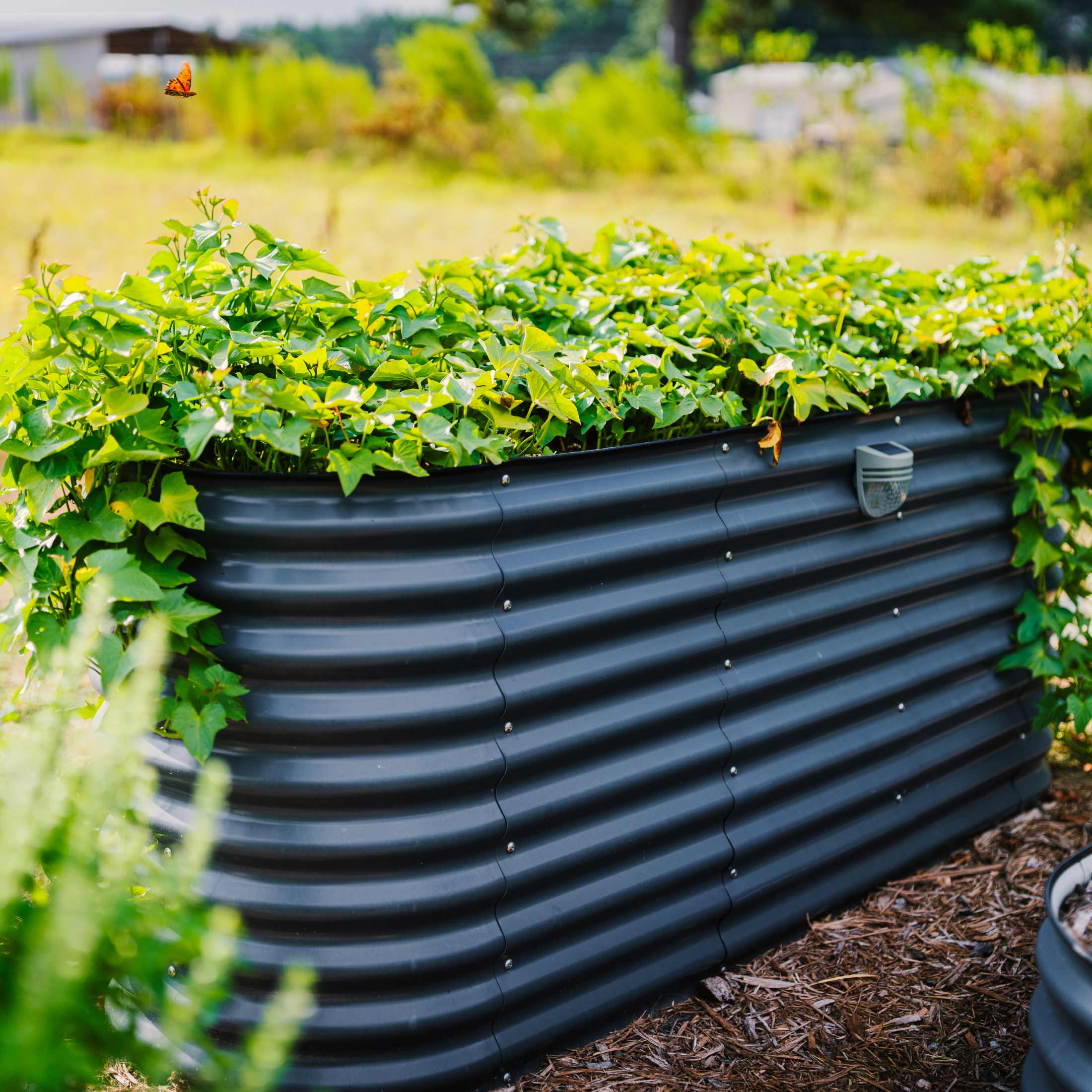 32" Extra Tall 9 In 1 Large Modular Metal Raised Garden Bed Kit - Team Grow