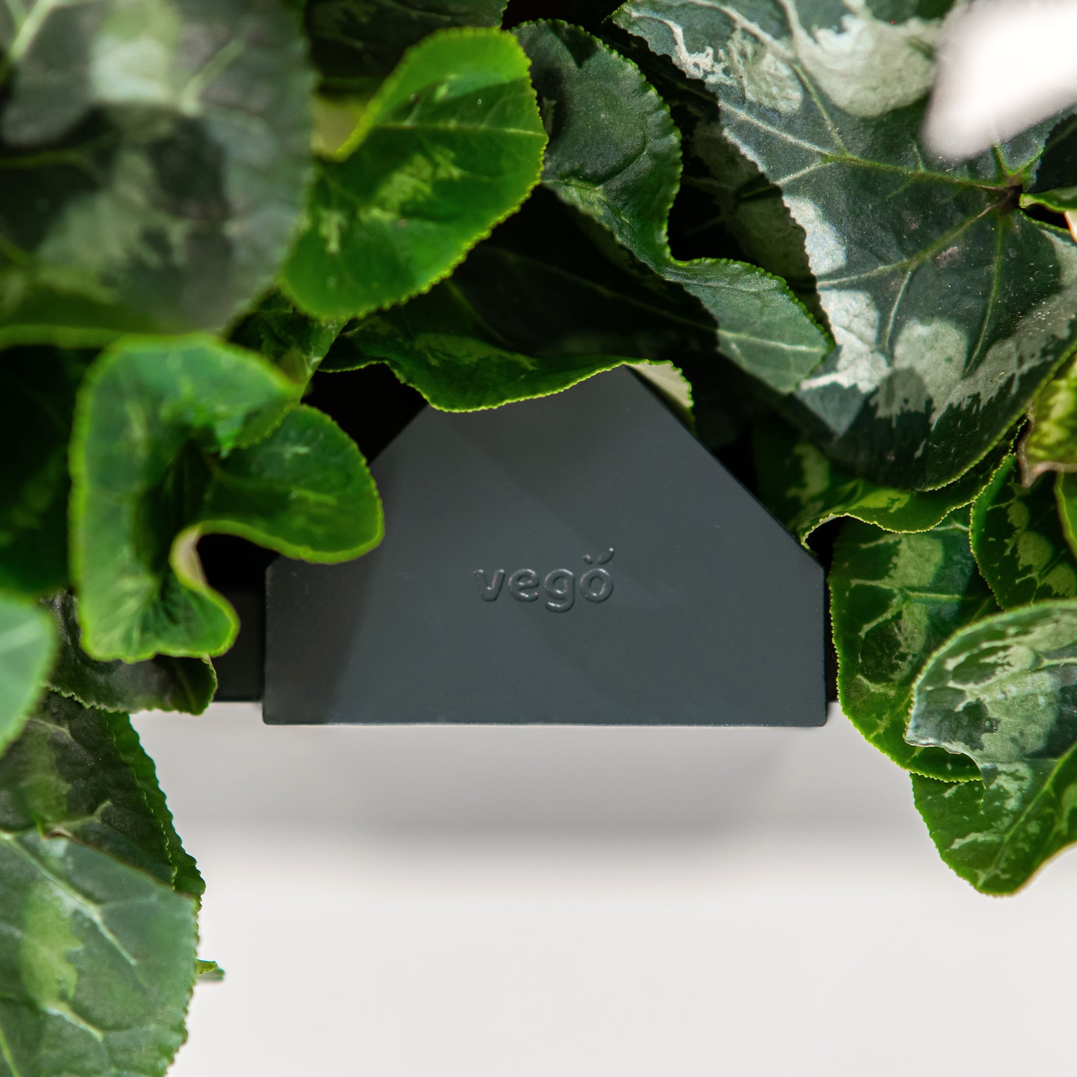 32" Extra Tall Modern 27" x 53" Metal Raised Garden Bed - Team Grow