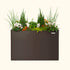 32" Extra Tall Modern 27" x 53" Metal Raised Garden Bed - Team Grow