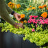 32" Extra Tall Modern Garden Bed Extension Kit 41"Long - Team Grow