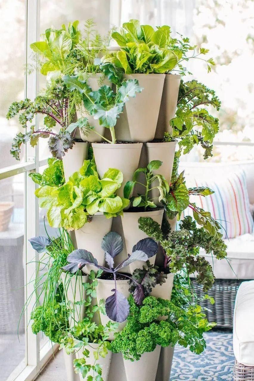 vertical planter indoor 5 Tier GreenStalk Garden Original Vertical Planter - Basic Texture Evergreen
