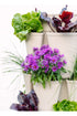 5 Tier GreenStalk Garden Original Vertical Planter - Basket Weave Texture - Team Grow