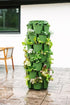 7 Tier GreenStalk Garden Leaf Vertical Planter - Basic Texture - Team Grow