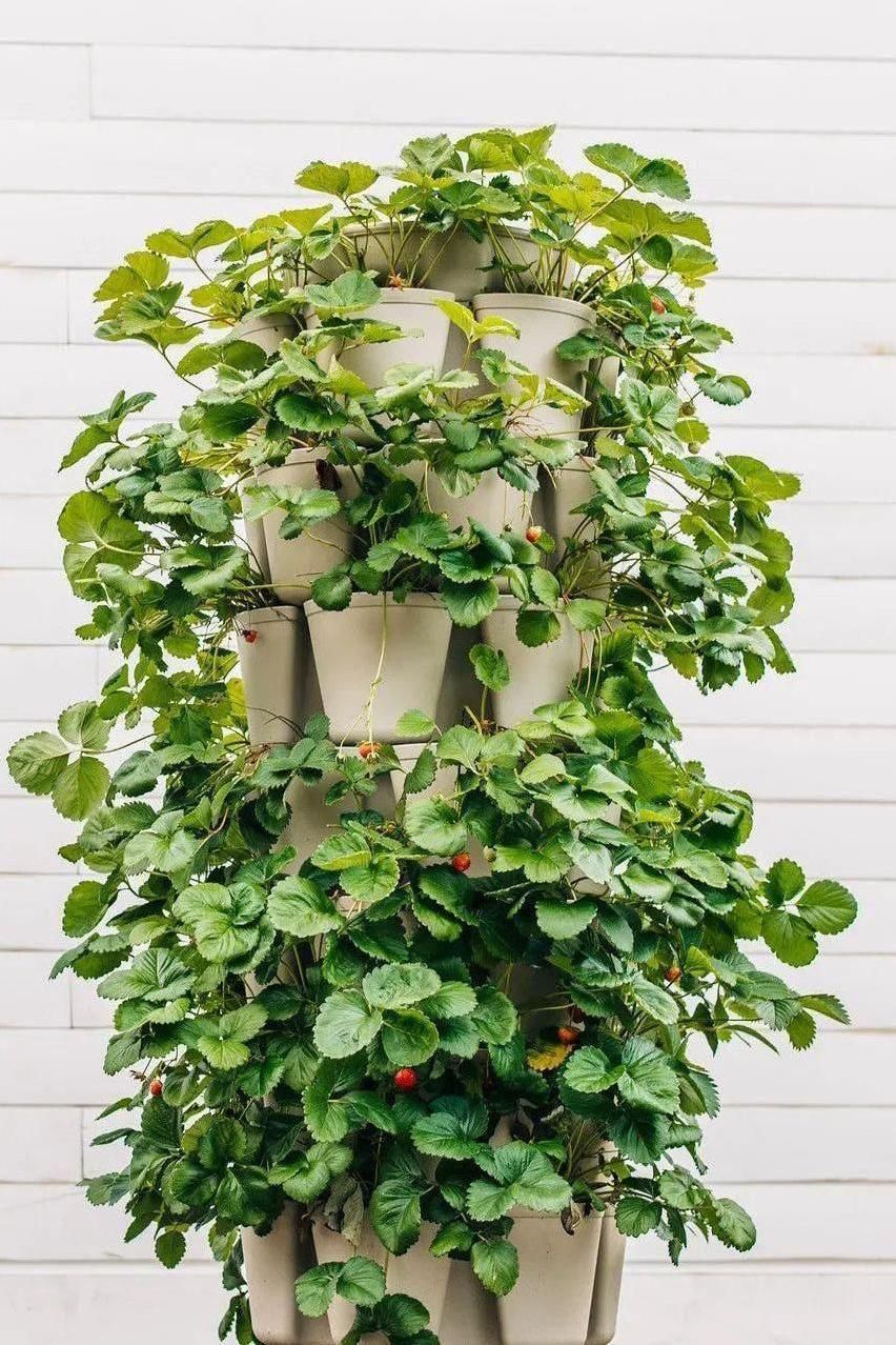 vertical planter indoor 7 Tier GreenStalk Garden Leaf Vertical Planter - Basic Texture Evergreen