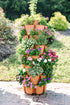 7 Tier GreenStalk Garden Leaf Vertical Planter - Basket Weave Texture - Team Grow