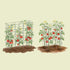 FlexGrow Tomato Cage - 14.5" Square
