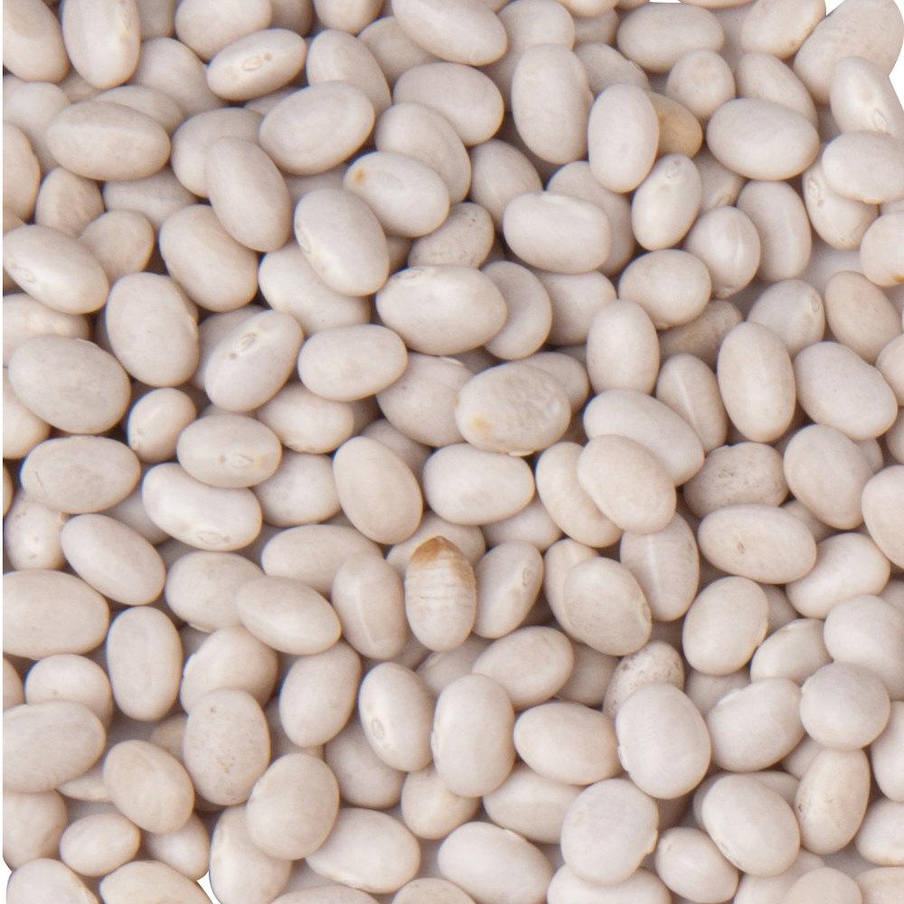 Navy Bean (Bush)