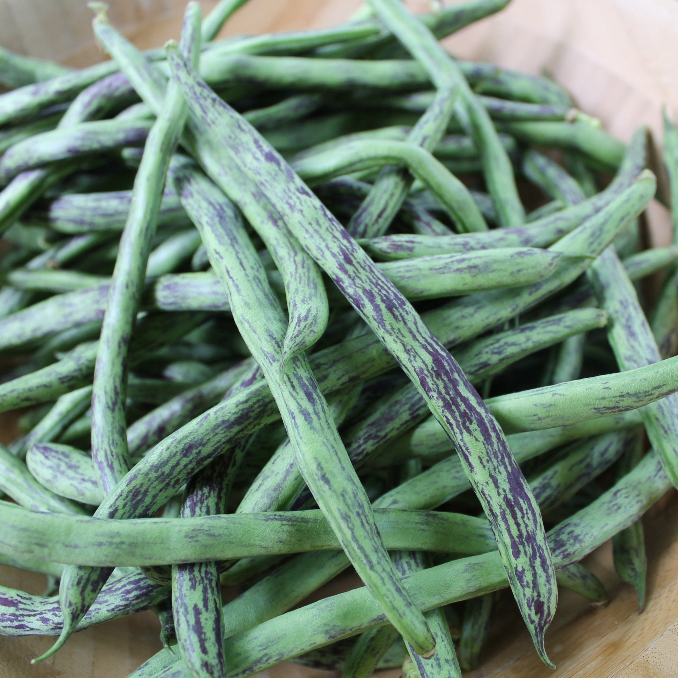 Rattlesnake Bean (Pole)