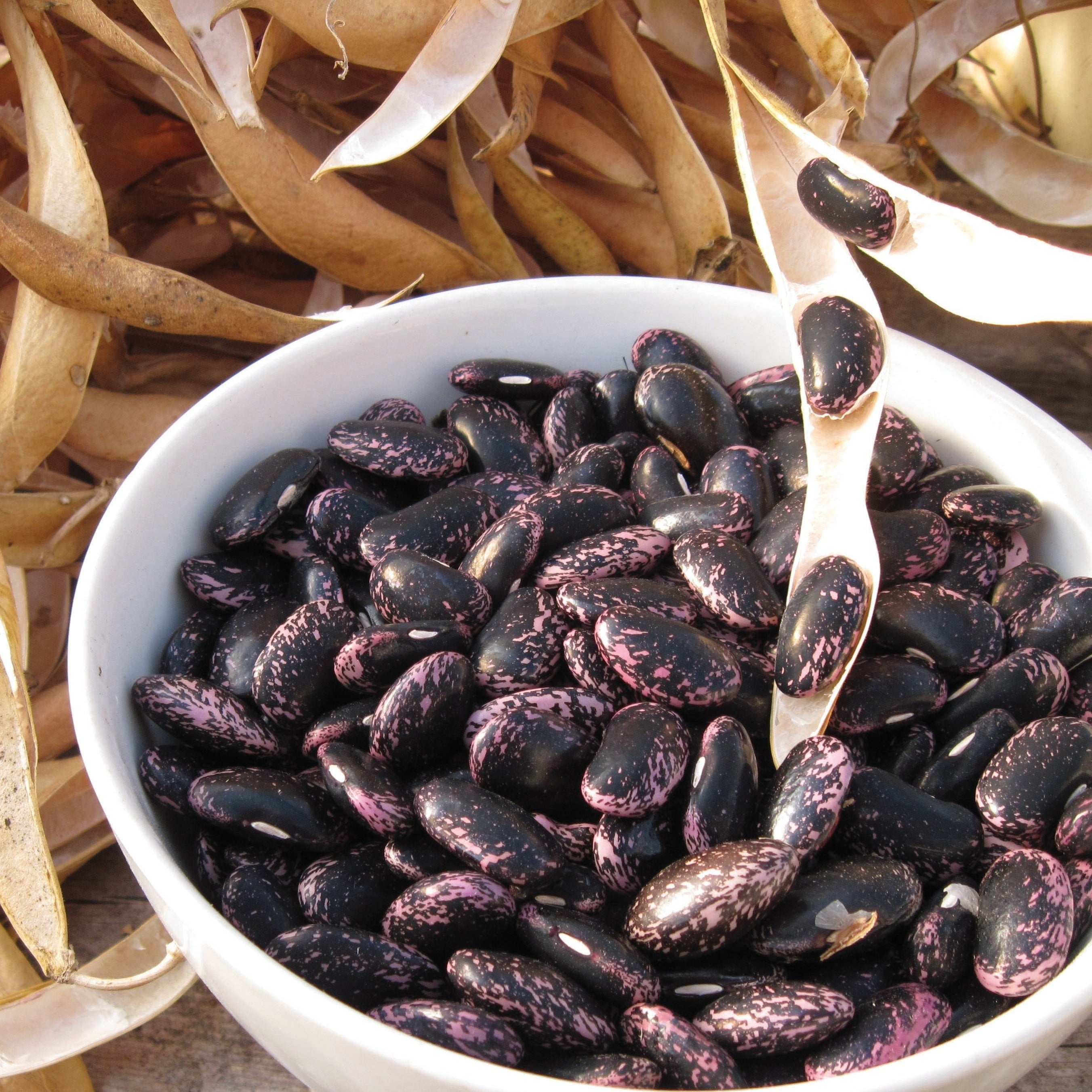 Sunset Runner Bean (Pole)