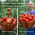 Before and after comparison of tomatoes with text 'Protect Your Harvest' and 'From Damage to Abundance'.