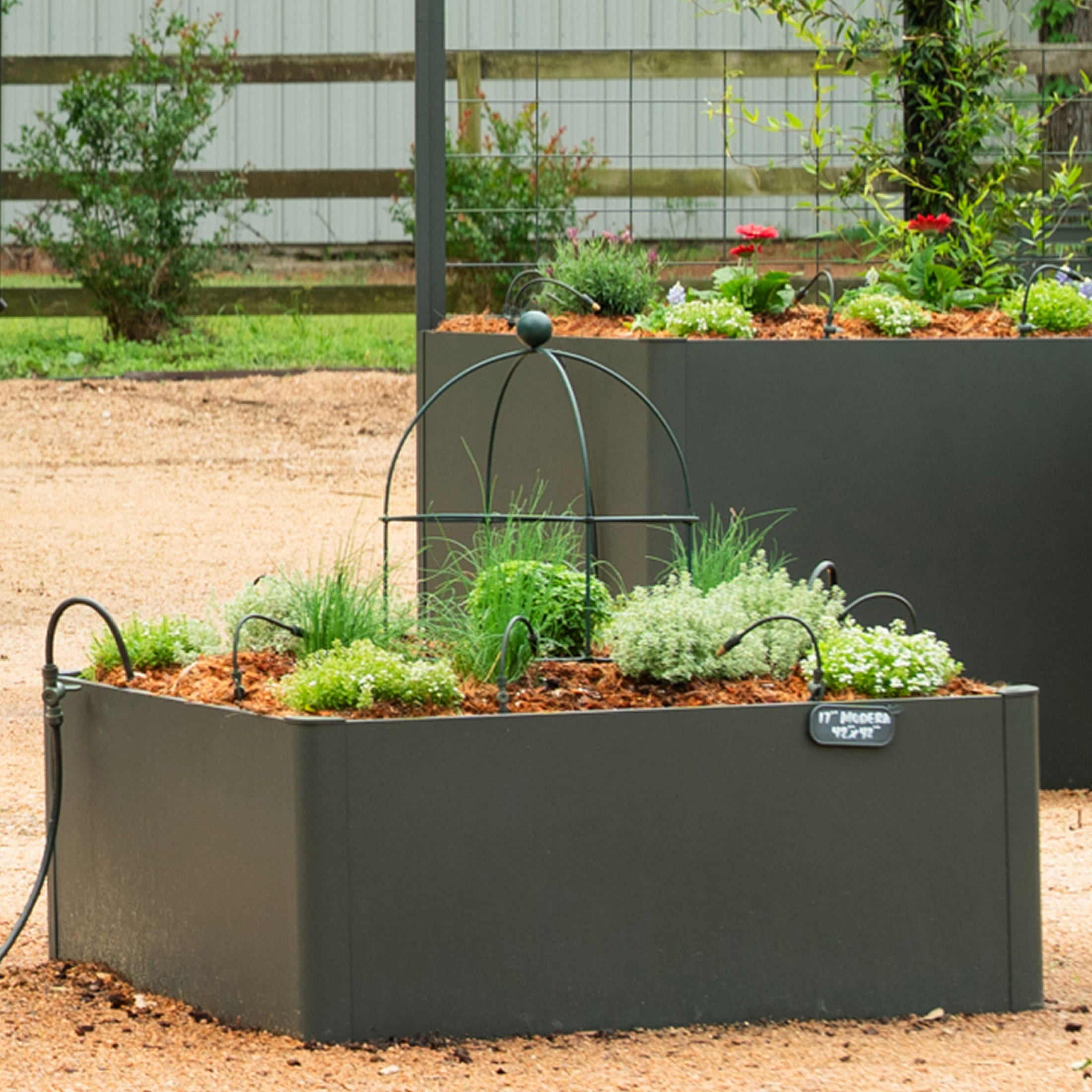 Birdcage Trellis - 2 Pack