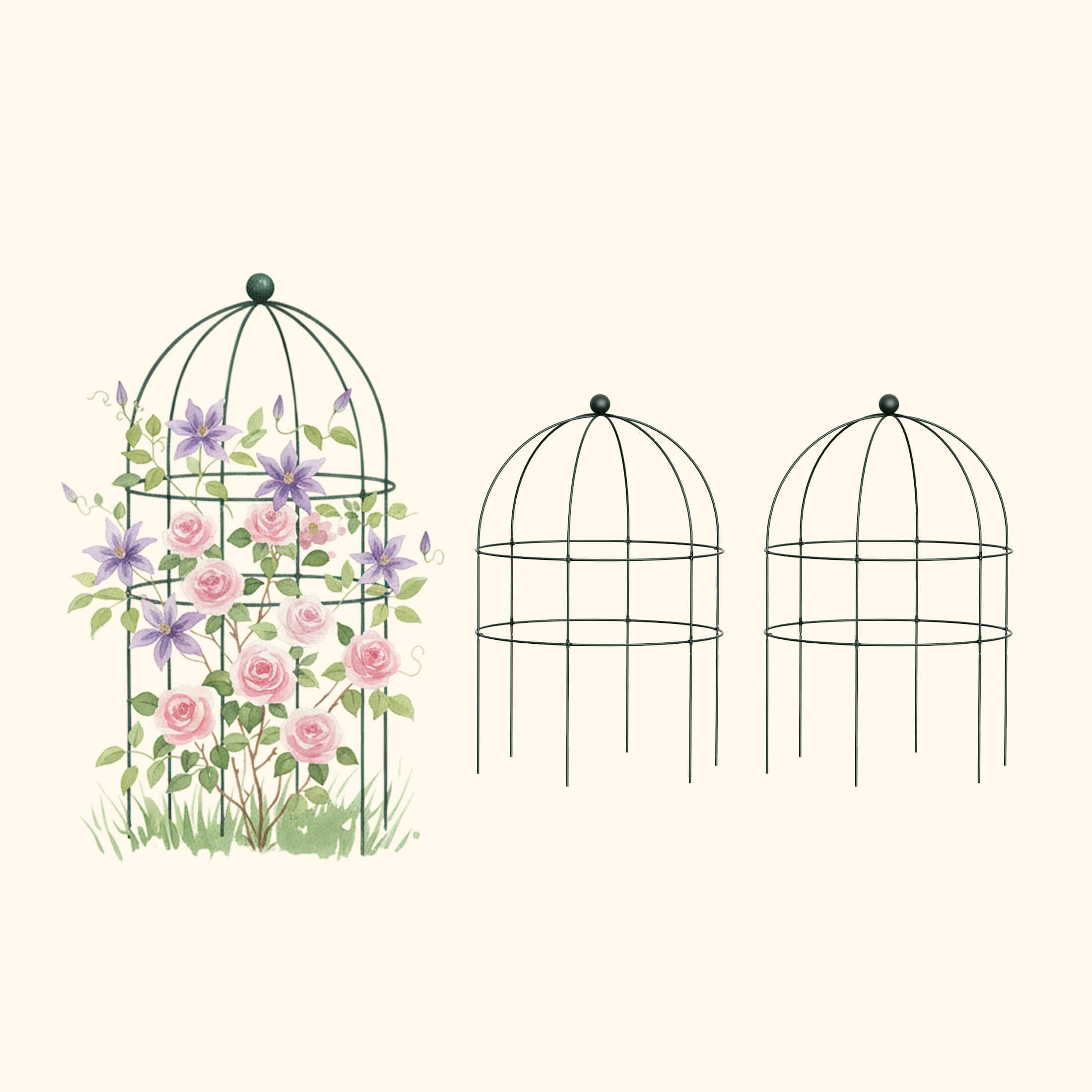 Birdcage Trellis - 2 Pack