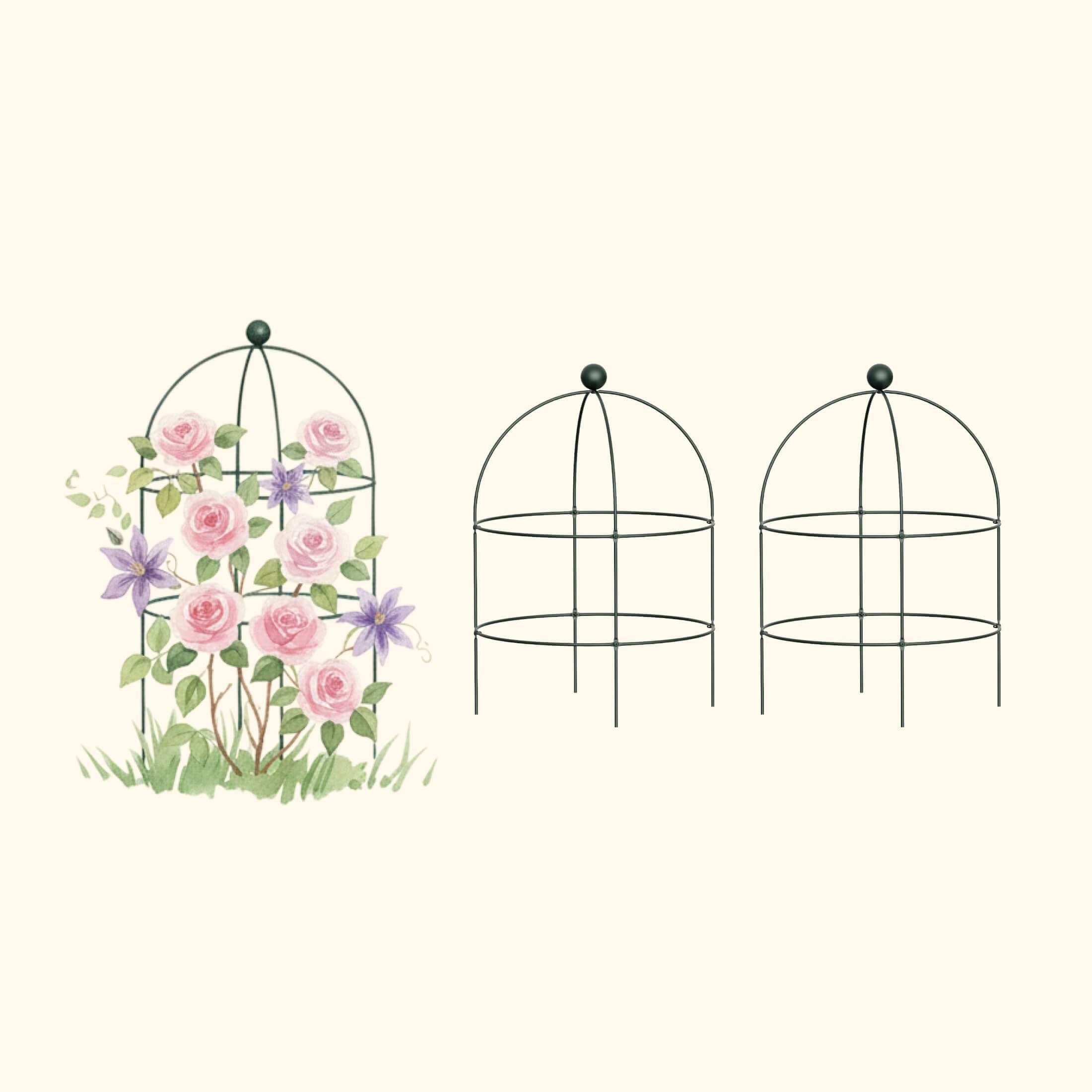 Birdcage Trellis - 2 Pack