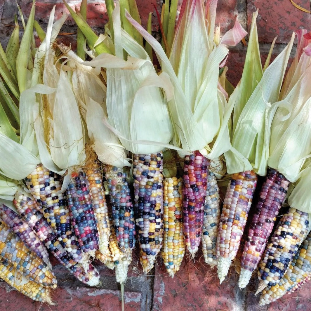 Ornamental Glass Gem Corn