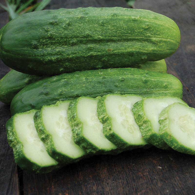 National Pickling Cucumber