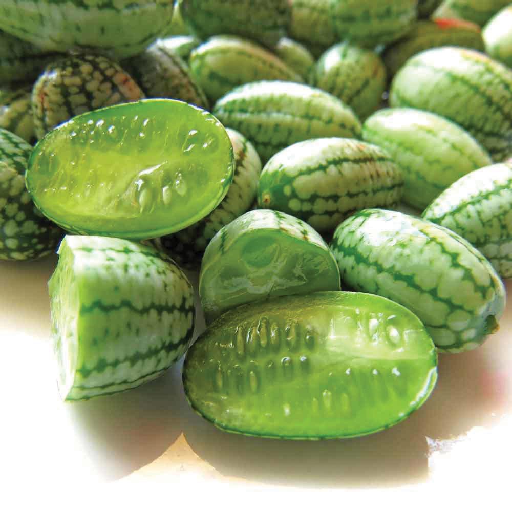 Cucamelon - Mexican Sour Gherkin