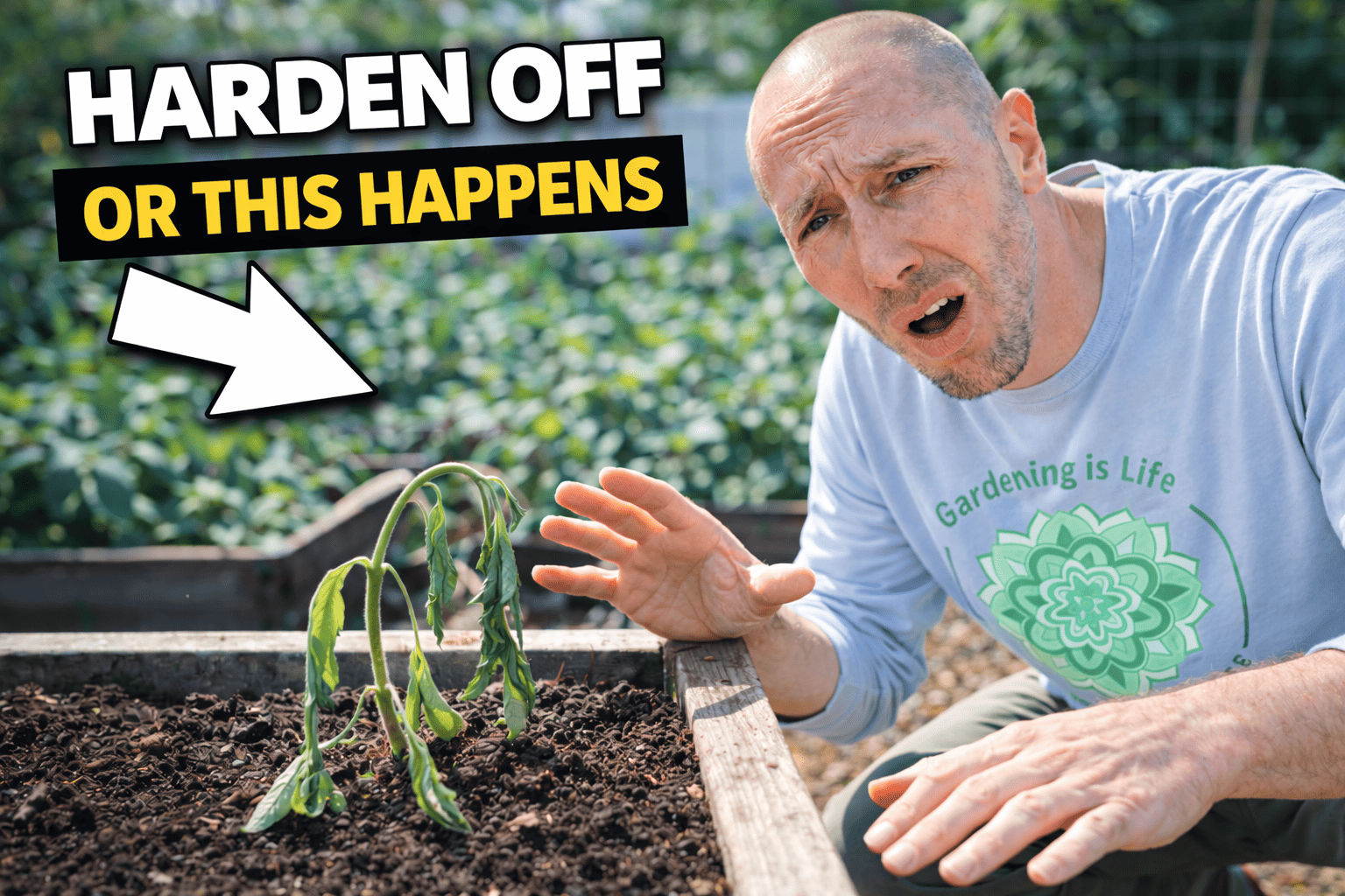 21-Day Seed Starting Challenge (Self-Paced) — With James Prigioni