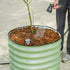Self-Watering Rolling Citrus Tree Planter 30 Gallon - Gen 3