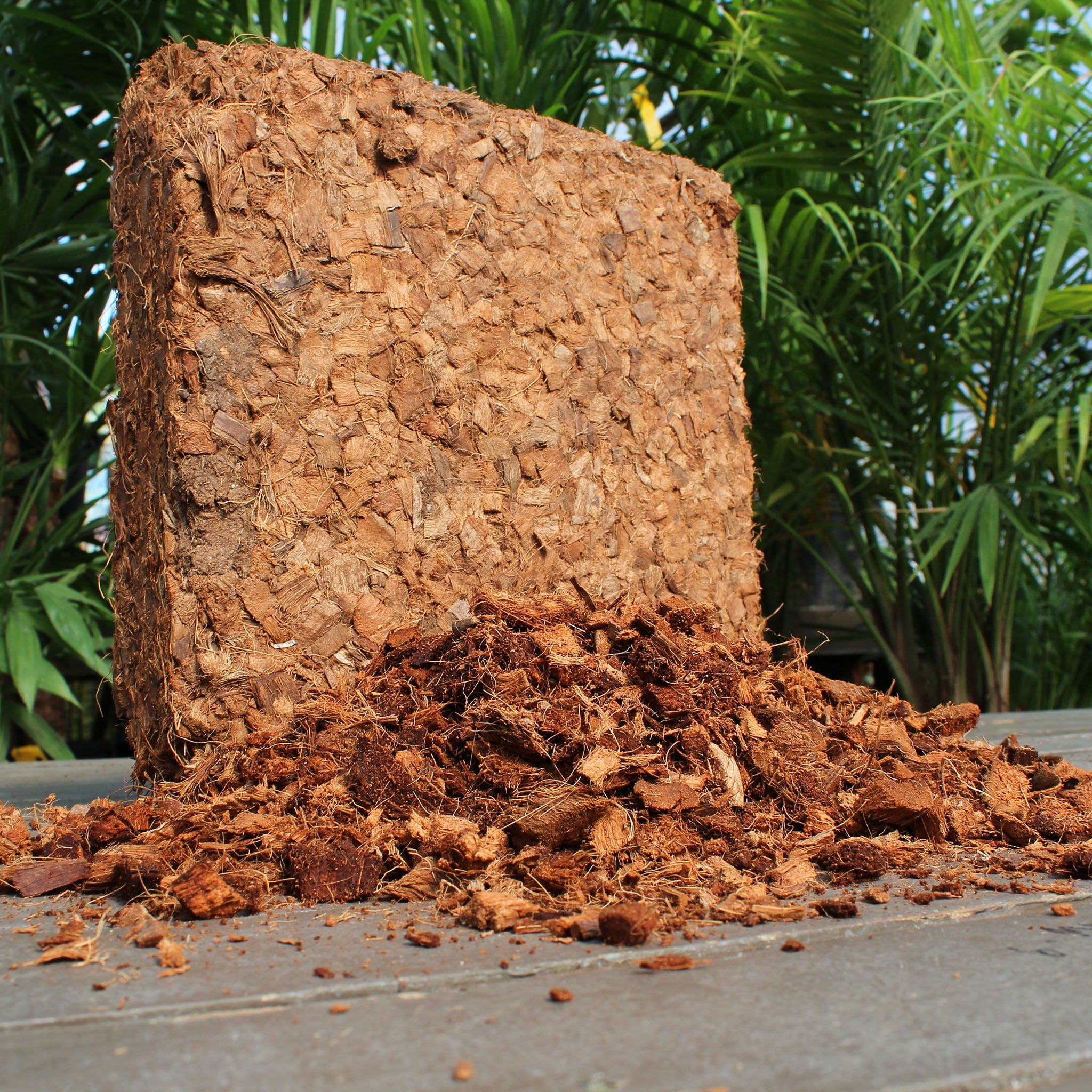 Coco Bliss Chips - 10 lb Coconut Husk Growing Media Bark Alternative