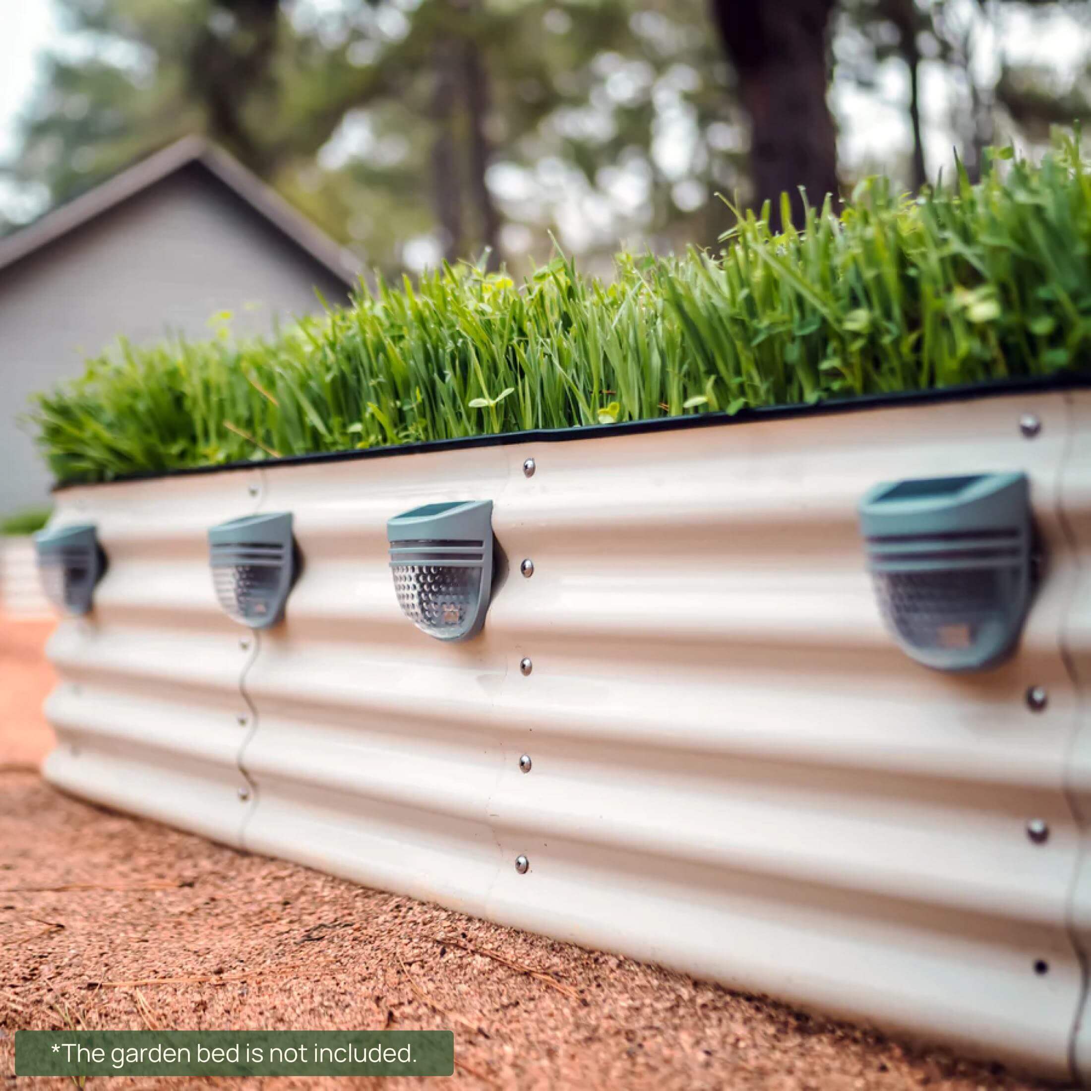 Dappled Solar Garden Light