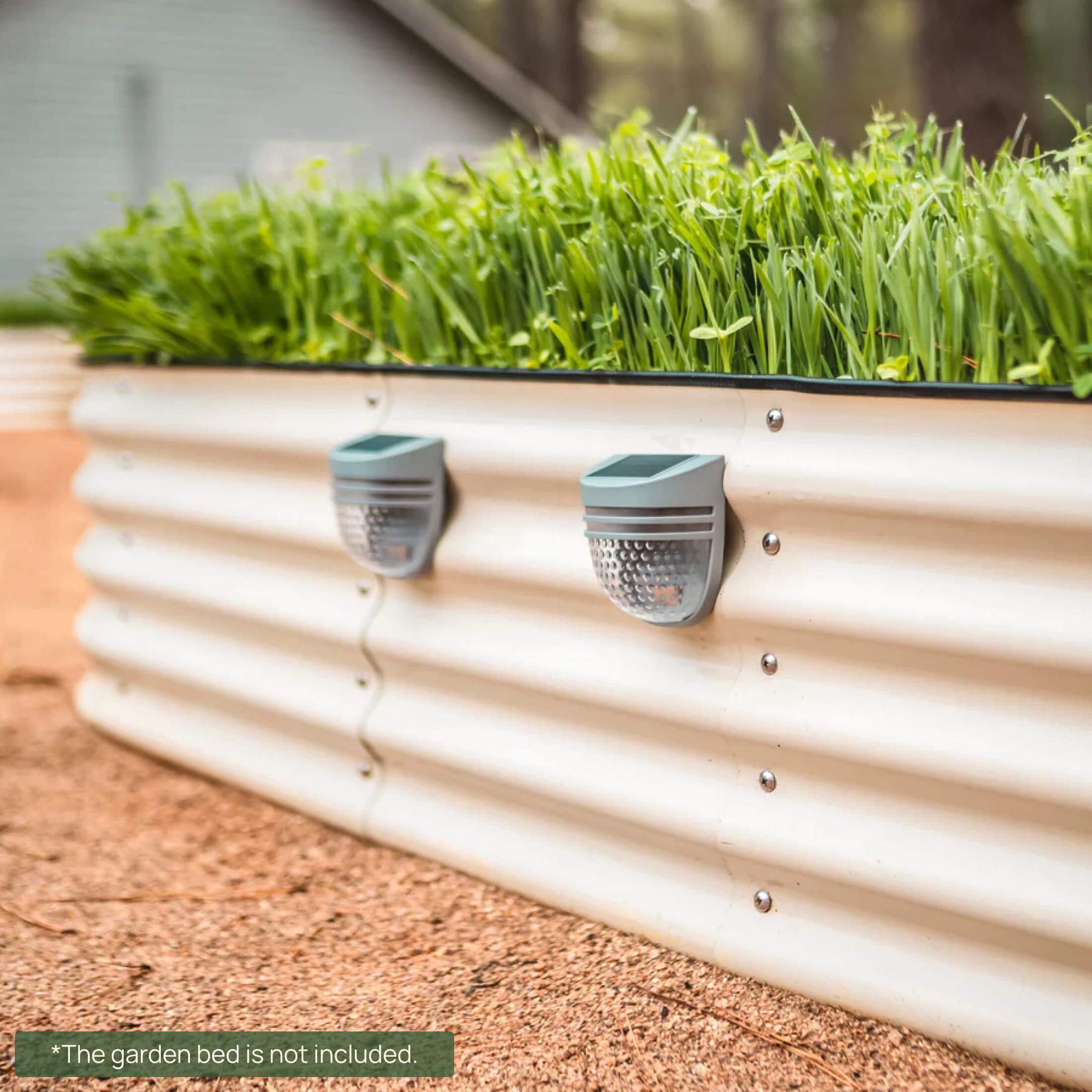 Dappled Solar Garden Light