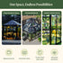 Vego Diamond Pavilion Greenhouse