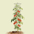 FlexGrow 3-Panel Tomato Cage - 11.5" Triangle