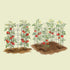 FlexGrow 3-Panel Tomato Cage - 14.5" Triangle