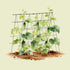 FlexGrow 3-Panel Tomato Cage - 14.5" Triangle