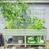 MaxGrow Tomato Tower 3 Tier - 3 Pack