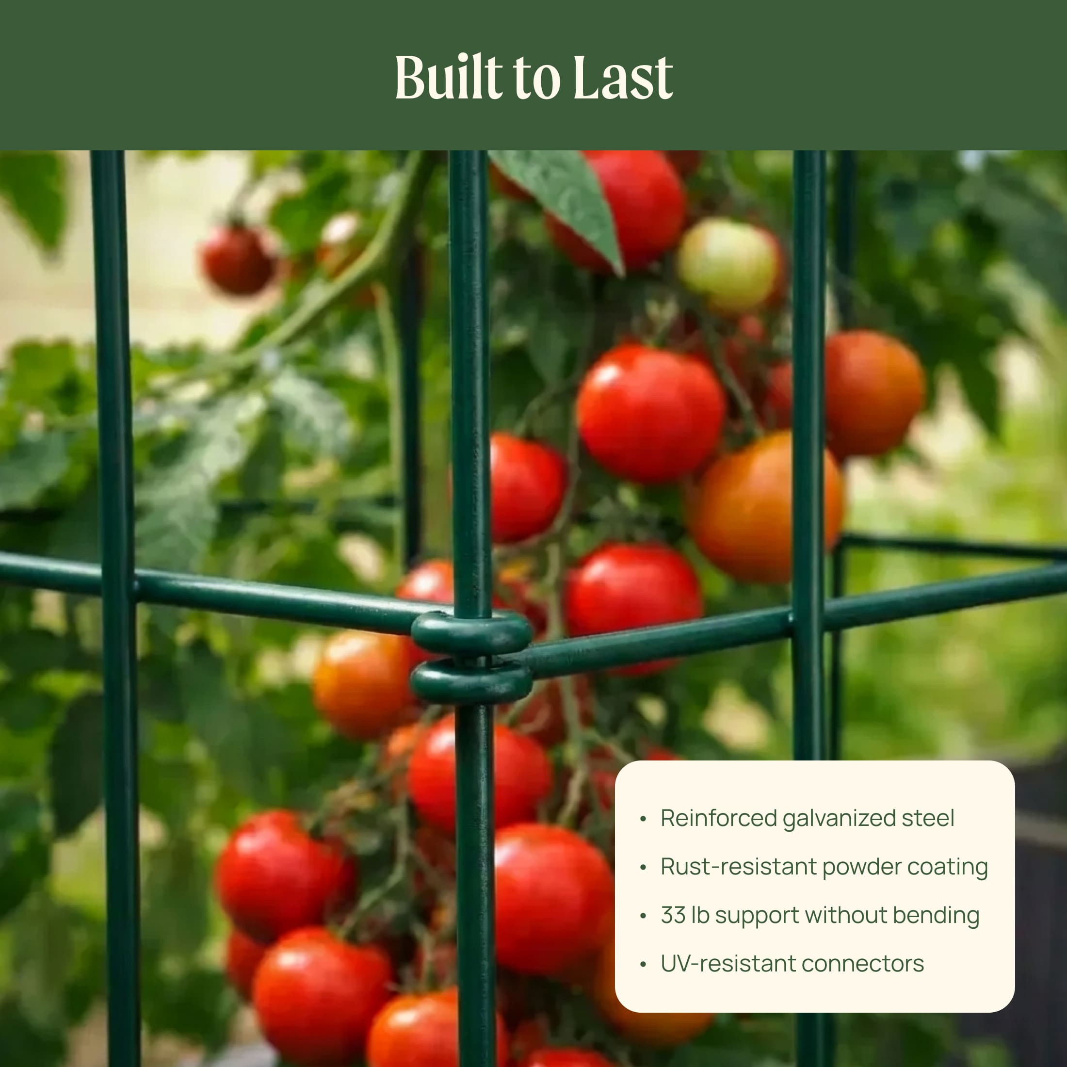 FlexGrow Tomato Cage - 16.5" Square