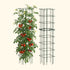 FlexGrow Tomato Cage - 14.5" Square