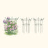 Flower Cage Trumpet - 2 Pack