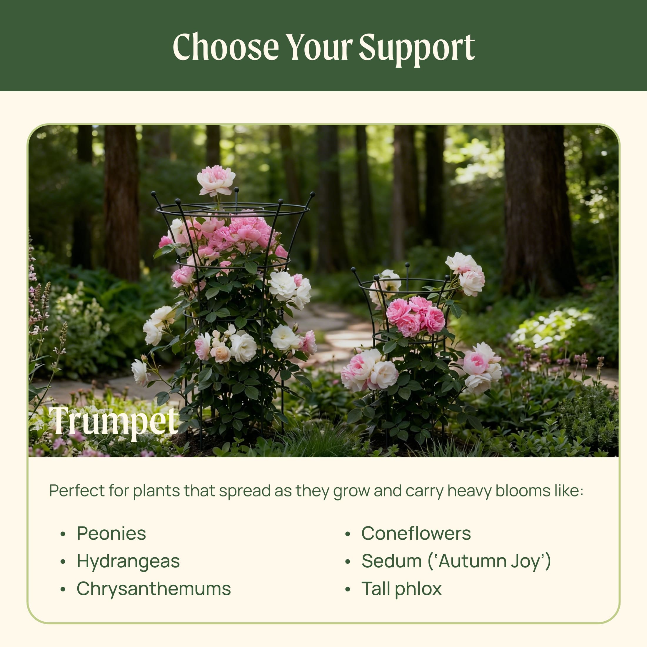 Flower Cage Round - 2 Pack