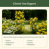 Flower Cage Round - 2 Pack
