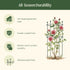 Flower Cage Round - 2 Pack
