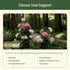 Flower Cage Trumpet - 2 Pack
