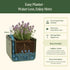 EZ Self-Watering Herb Planter with Trellis Gen 2