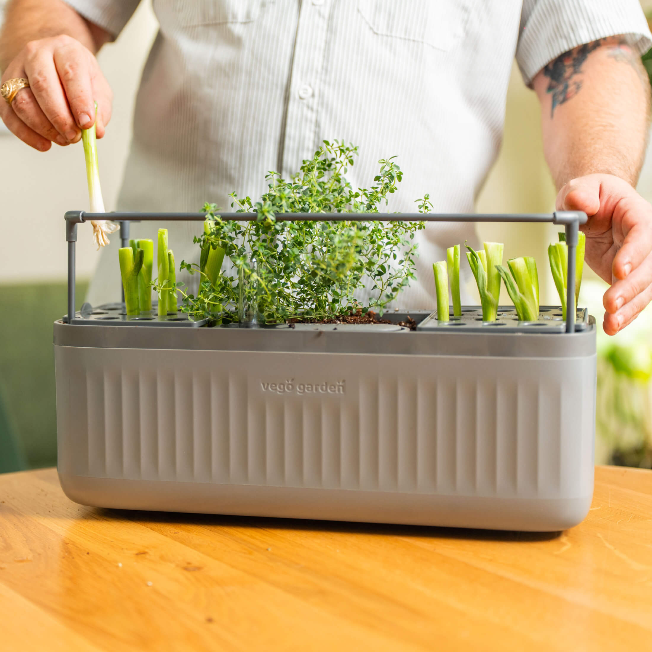 EZ Self-Watering Herb Planter with Trellis Gen 2