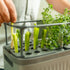 EZ Self-Watering Herb Planter with Trellis Gen 2